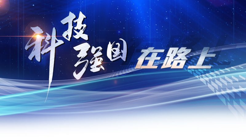 数据治理：构建企业数字化转型的坚实基石