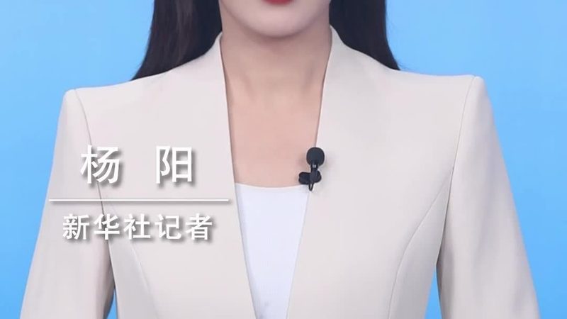 AI应用平台：功能解析与选型要点